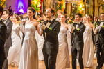 95. Blumenball der Stadt Wien Thema 13733627