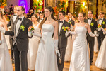 95. Blumenball der Stadt Wien Thema 13733628