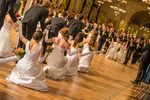 95. Blumenball der Stadt Wien Thema 13733630