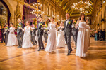 95. Blumenball der Stadt Wien Thema 13733673