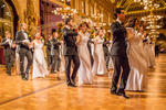 95. Blumenball der Stadt Wien Thema 13733677