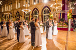 95. Blumenball der Stadt Wien Thema 13733687