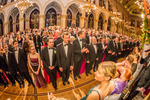 95. Blumenball der Stadt Wien Thema 13733788