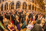 95. Blumenball der Stadt Wien Thema 13733789