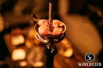 Scotch Lounge 13742105