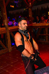 Hasenfalle Europe-Power Dreamboys 13765872