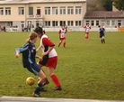 FC Wels Ladies gg. Pregarten 1381311