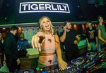 Tigerlily goes Pussycamp lusthouse 13814057