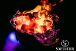 Scotch Lounge 13823475