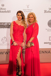 Filmball VIENNA Awards 2017 13830981