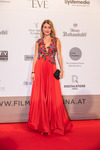 Filmball VIENNA Awards 2017 13831022