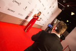 Filmball VIENNA Awards 2017 13831264