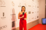 Filmball VIENNA Awards 2017 13831265