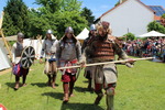 Mittelalterfest Hainburg a.d. Donau 13933120