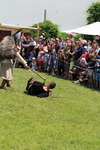 Mittelalterfest Hainburg a.d. Donau 13933127