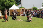 Mittelalterfest Hainburg a.d. Donau 13933129