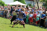 Mittelalterfest Hainburg a.d. Donau 13933134