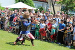 Mittelalterfest Hainburg a.d. Donau 13933135