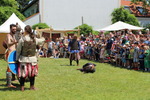 Mittelalterfest Hainburg a.d. Donau 13933140