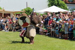 Mittelalterfest Hainburg a.d. Donau 13933146