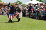 Mittelalterfest Hainburg a.d. Donau 13933147