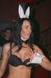 Hot & Wild Bunny Party 1398183