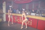 Hot & Wild Bunny Party 1398202