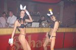 Hot & Wild Bunny Party 1398206