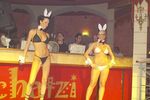 Hot & Wild Bunny Party 1398255