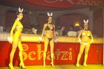 Hot & Wild Bunny Party 1398256