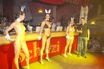 Hot & Wild Bunny Party 1398267