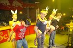 Hot & Wild Bunny Party 1398276