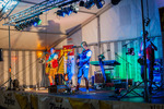 Teichfest Holzhausen 2017 13990848