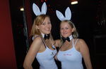 Easter bunnies all around 1399797