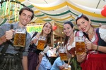 Wiener Wiesn 14074324