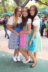 Wiener Wiesn 14076476