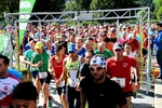 5. Steiermark Genuss Apfel Lauf 14080106