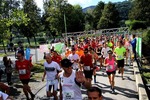 5. Steiermark Genuss Apfel Lauf 14080140