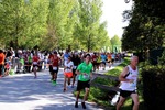 5. Steiermark Genuss Apfel Lauf 14080196