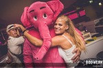 PINK Elephant LAND – the Return 14082869