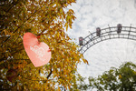 Wiener Wiesn 14084287