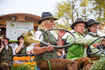 Wiener Wiesn 14084299