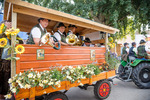 Wiener Wiesn 14084302