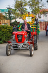 Wiener Wiesn 14084306