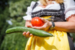 Wiener Wiesn 14084345