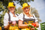 Wiener Wiesn 14084347