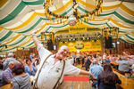 Wiener Wiesn 14084452