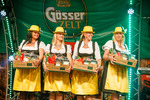 Wiener Wiesn 14084455