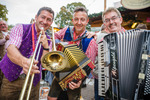 Wiener Wiesn 14084462