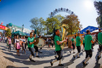 Wiener Wiesn 14087115